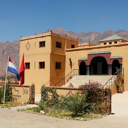 Auberge Kasbah Chez Amaliya Тафраут Екстериор снимка
